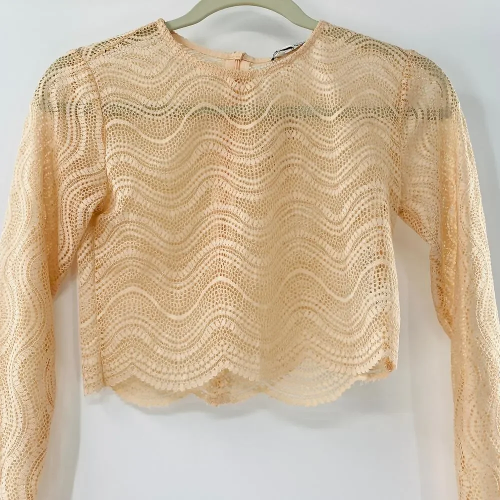 NEW Zara Beige Wavy Lace Scallop Hem Sheer Knit Long Sleeve Crop Top Small Y2K